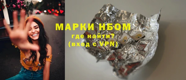 сатива Аркадак