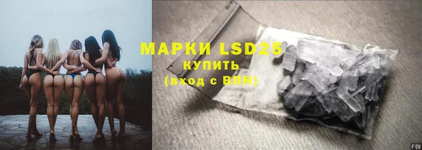 индика Арсеньев
