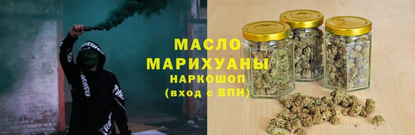 индика Арсеньев