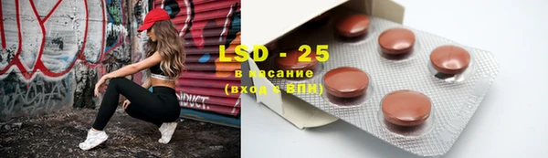 сатива Аркадак