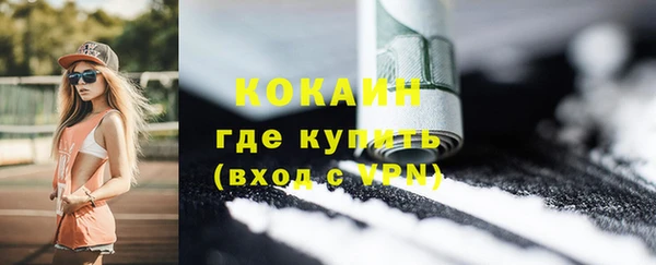 сатива Аркадак