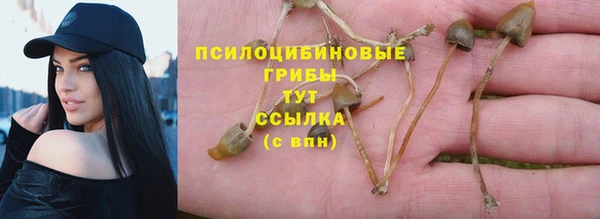 индика Арсеньев