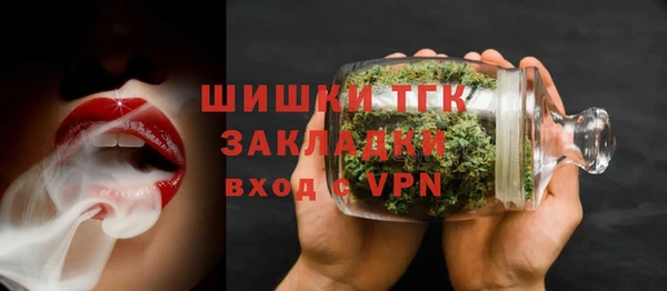 индика Арсеньев