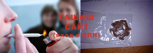 индика Арсеньев