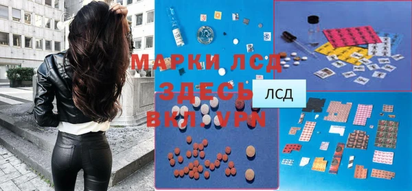 сатива Аркадак