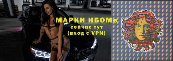 сатива Аркадак