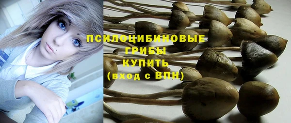 индика Арсеньев