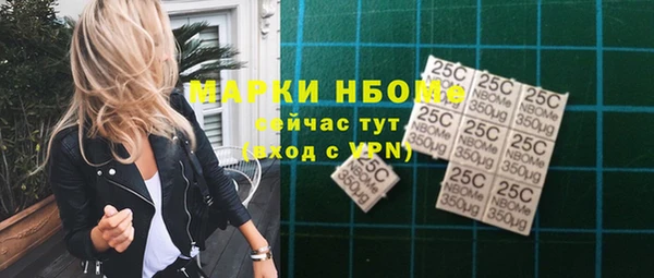 индика Арсеньев