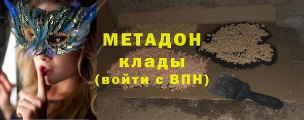 индика Арсеньев