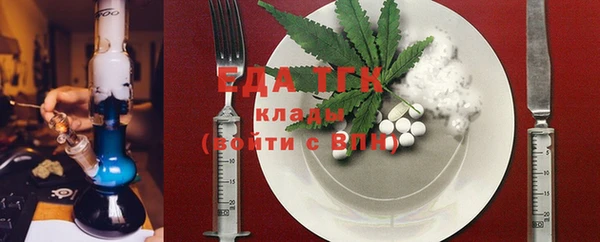 индика Арсеньев